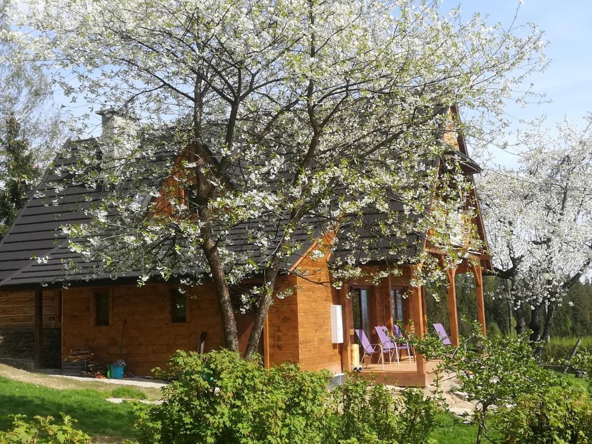 Buflaczanka Nowy Targ Exterior photo